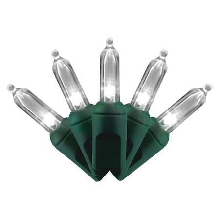 Celebrations T5 50L PURE WHITE SPARKL T550PWSA